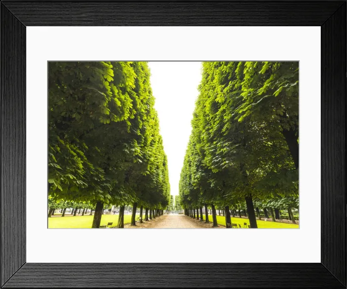 Framed Print : Palais du Luxembourg, Paris, France
