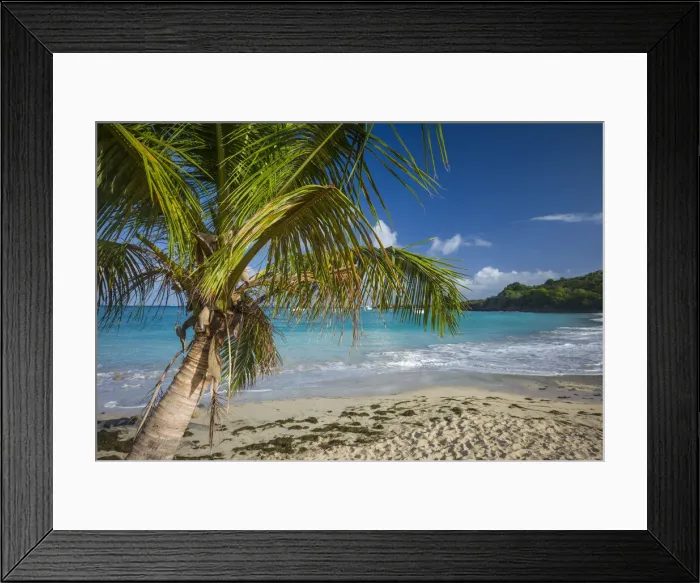 Framed Print : French West Indies, St-Martin, Friars Bay, beach