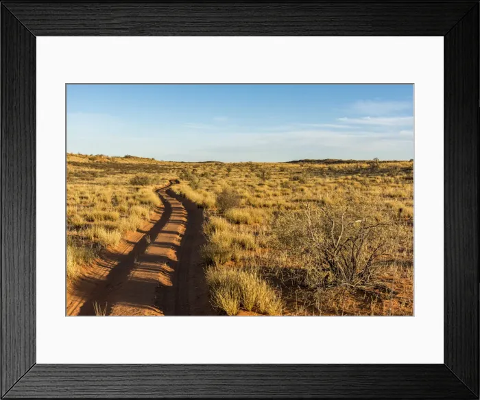 Framed Print : South africa, Kalahari Transfrontier Park. Road in the Park Framed Print : South africa, Kalahari Transfrontier Park. Road in the Park