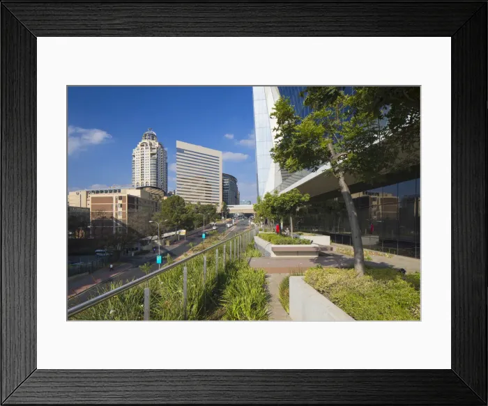 Framed Print : Michelangelo Towers and Intercontinental Hotel from Alice Lane Towers, Sandton Framed Print : Michelangelo Towers and Intercontinental Hotel from Alice Lane Towers, Sandton