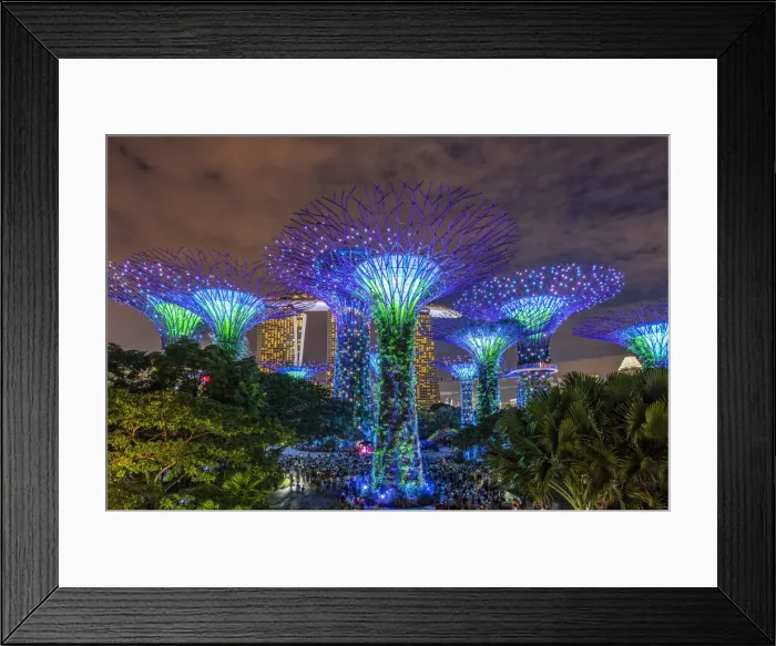 Framed Print : The Supertree Grove light show at Gardens by the Bay nature park, Singapore Framed Print : The Supertree Grove light show at Gardens by the Bay nature park, Singapore