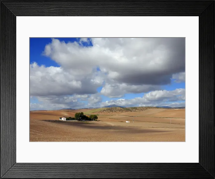 Framed Print : Spanish farm near Jaen. Andalucia, Spain Framed Print : Spanish farm near Jaen. Andalucia, Spain