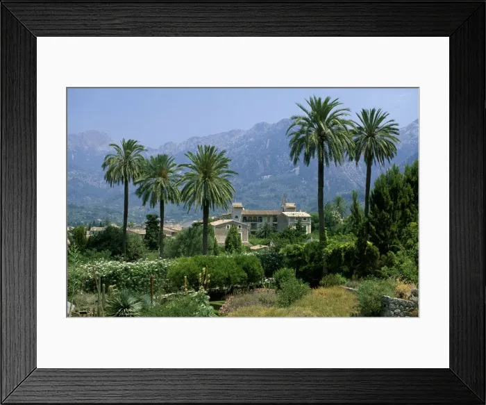 Framed Print : Botanical garden, Soller, Majorca, the Balearic Islands, Spain Framed Print : Botanical garden, Soller, Majorca, the Balearic Islands, Spain