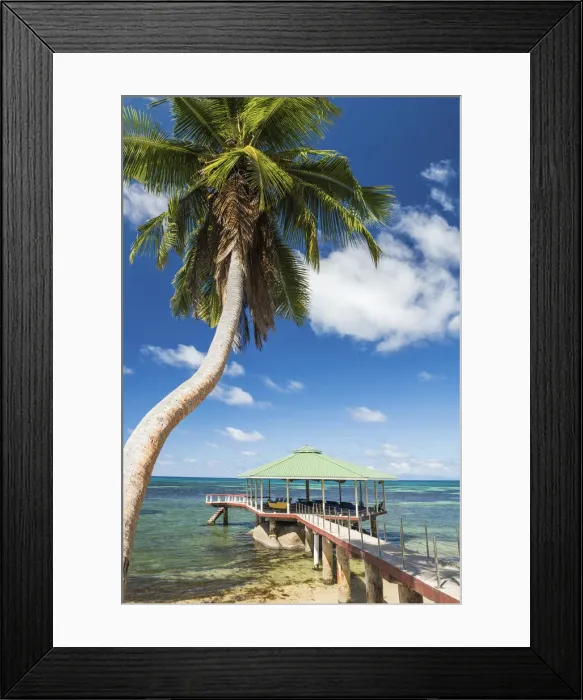 Framed Print : Jetty & Palm Tree, Praslin, Seychelles