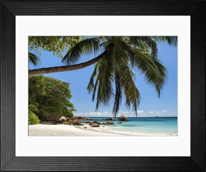 Framed Print : Palm Tree over Anse Lazio Beach, Praslin, Seychelles Framed Print : Palm Tree over Anse Lazio Beach, Praslin, Seychelles