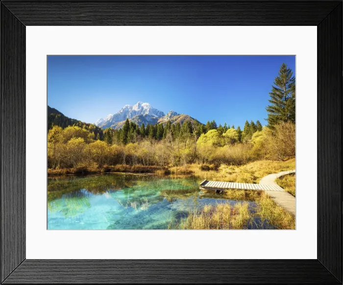 Framed Print : Zelenci Springs, near Kranjska Gora, Slovenia, Europe