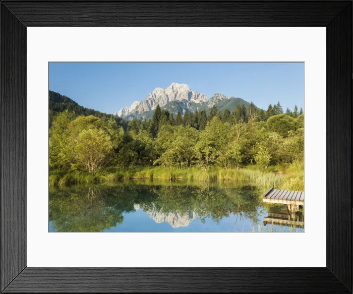 Framed Print : Slovenia, Gorenjska Region, Triglav National Park. Zelenci Swamps near Kranjska Gora Framed Print : Slovenia, Gorenjska Region, Triglav National Park. Zelenci Swamps near Kranjska Gora
