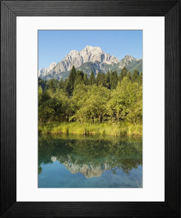 Framed Print : Slovenia, Gorenjska Region, Triglav National Park. Zelenci Swamps near Kranjska Gora