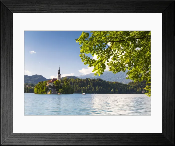 Framed Print : Slovenia, Upper Carniola, Bled. The Church of the Assumption on Lake Bled Framed Print : Slovenia, Upper Carniola, Bled. The Church of the Assumption on Lake Bled