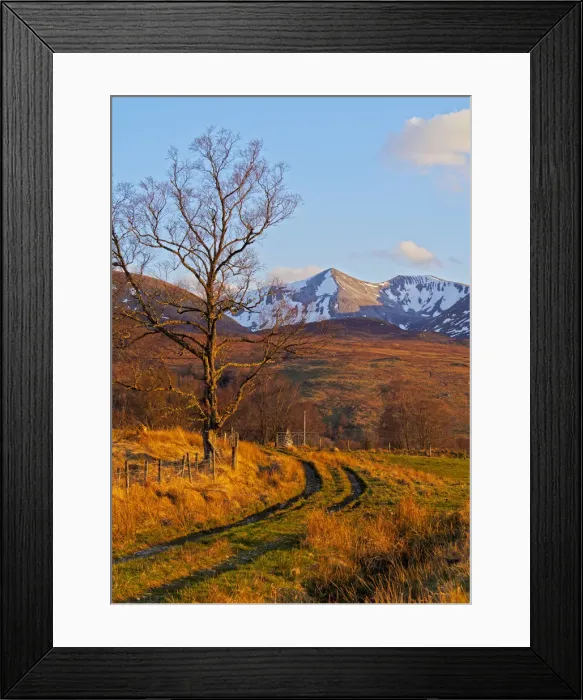 Framed Print : UK, Scotland, Highlands, Roy Bridge, View towards Stob Ban and the Grey Corries Framed Print : UK, Scotland, Highlands, Roy Bridge, View towards Stob Ban and the Grey Corries