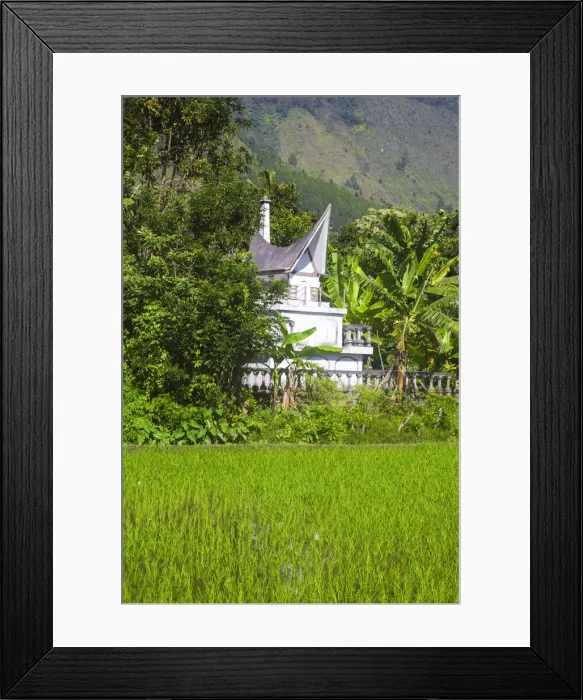 Framed Print : Indonesia, Sumatra, Samosir Island, Lake Toba, Tomb in Paddy field Framed Print : Indonesia, Sumatra, Samosir Island, Lake Toba, Tomb in Paddy field