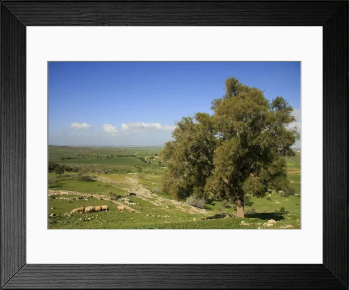 Framed Print : Israel, Shephelah from Tel Zafit, identified as Gath, one of the ancient Canaanite Framed Print : Israel, Shephelah from Tel Zafit, identified as Gath, one of the ancient Canaanite