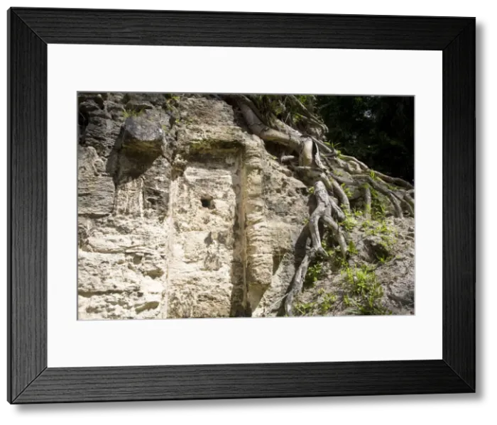 Framed Print : Guatemala, El Peten, Tikal, Plaza De Los Siete Templos Temple of the Seven Temples Framed Print : Guatemala, El Peten, Tikal, Plaza De Los Siete Templos Temple of the Seven Temples