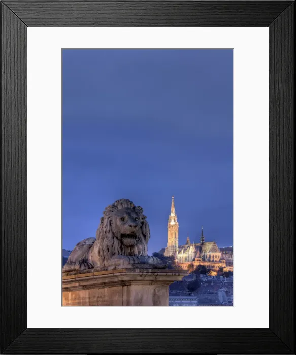 Framed Print : Hungary, Budapest, Chain Bridge and Matyas Church