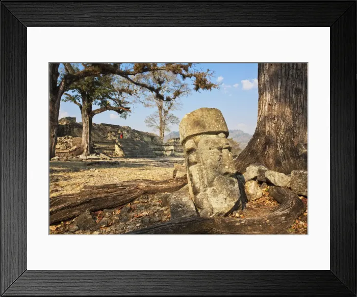 Framed Print : Honduras, Copan Ruinas, Copan Ruins Framed Print : Honduras, Copan Ruinas, Copan Ruins