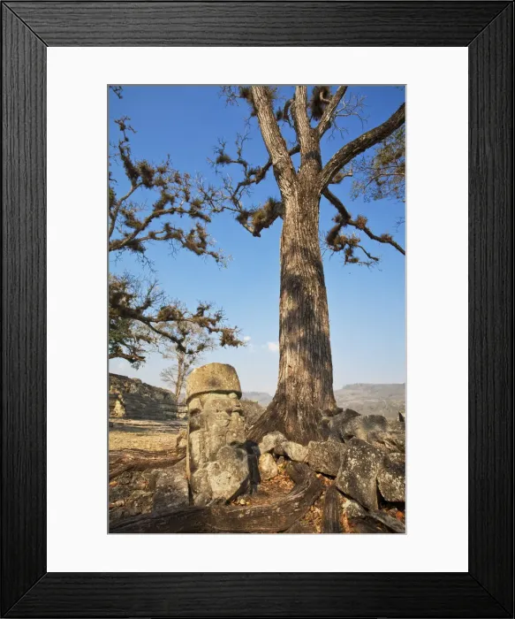 Framed Print : Honduras, Copan Ruinas, Copan Ruins Framed Print : Honduras, Copan Ruinas, Copan Ruins