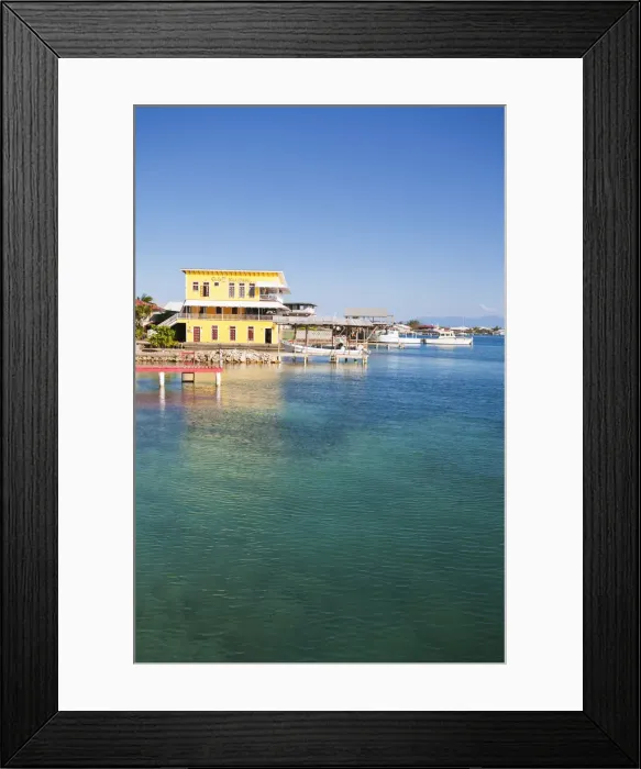 Framed Print : Honduras, Bay Islands, Utila, Cafe Mariposa Framed Print : Honduras, Bay Islands, Utila, Cafe Mariposa