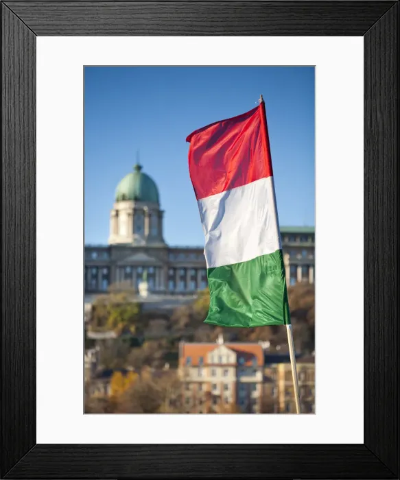 Framed Print : National Flag & Royal Palace, Budapest, Hungary