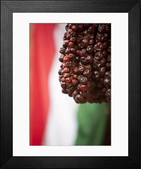 Framed Print : Bogyiszloi Paprika, Castle District, Buda, Budapest, Hungary Framed Print : Bogyiszloi Paprika, Castle District, Buda, Budapest, Hungary