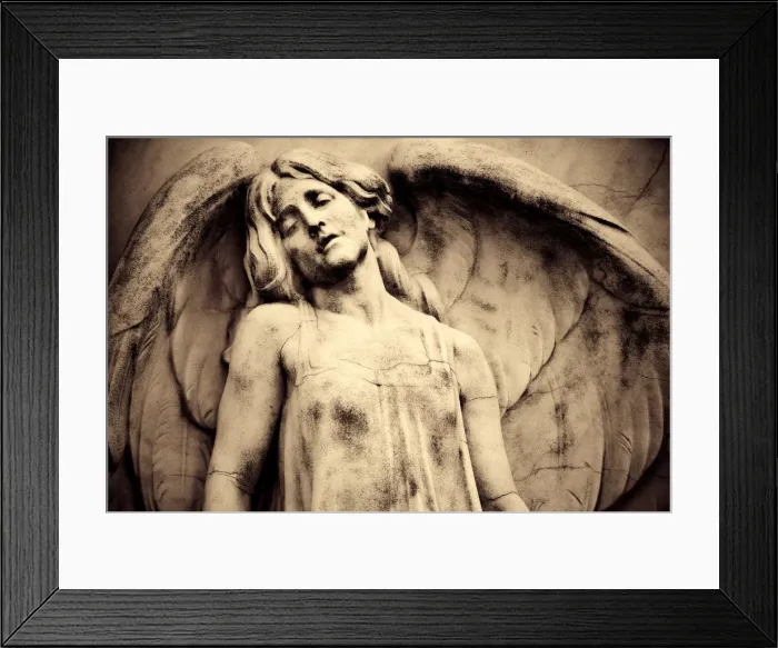 Framed Print : Hungary, Budapest, Kerepesi Cemetery Framed Print : Hungary, Budapest, Kerepesi Cemetery