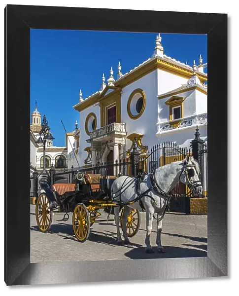 Horse drawn carriage in front of the Plaza de toros de la Real Maestranza de Caballeria