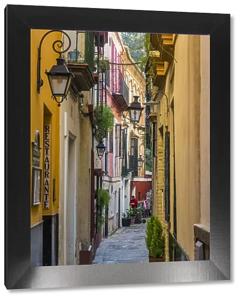 Colorful alley in Santa Cruz neighborhood, Seville, Andalusia, Spain