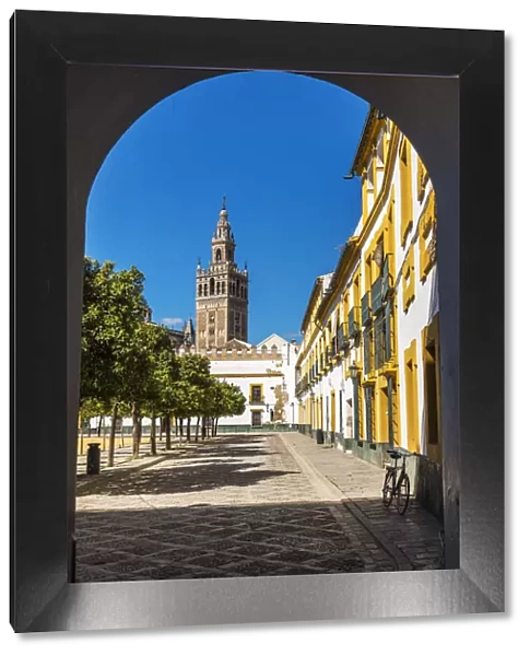 Plaza del Pato de Banderas with Giralda bell tower in the background, Seville, Andalusia