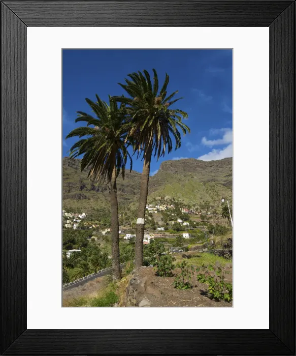 Framed Print : Valle Gran Rey, La Gomera, Canary Islands, Spain Framed Print : Valle Gran Rey, La Gomera, Canary Islands, Spain