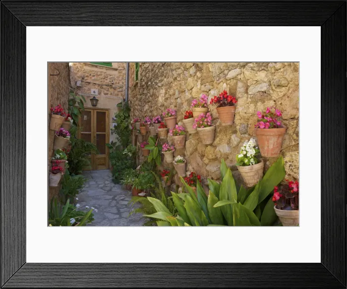 Framed Print : Floral Decoration on Facades, Valldemossa, Valldemosa, Majorca, Balearics, Spain Framed Print : Floral Decoration on Facades, Valldemossa, Valldemosa, Majorca, Balearics, Spain