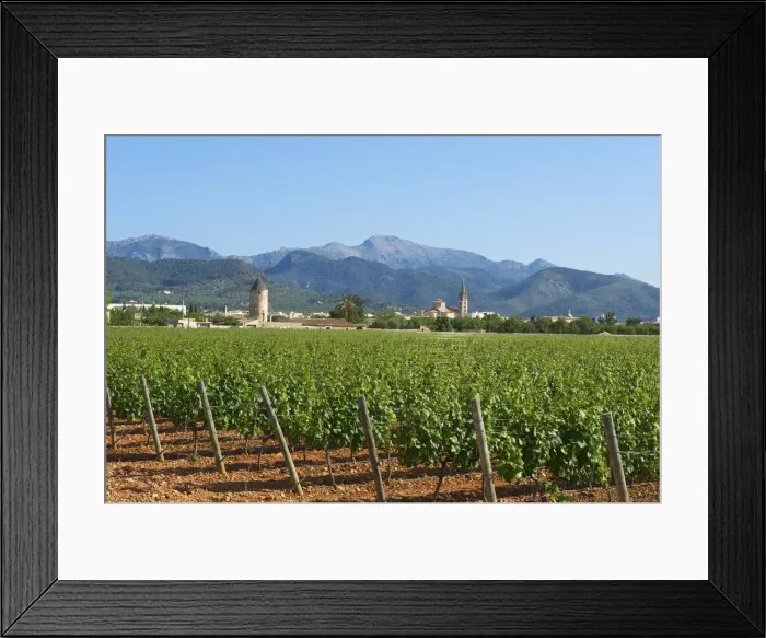 Framed Print : Vineyards, Binissalem, Binisalem and Tramuntana Mountains, Majorca, Balearics, Spain Framed Print : Vineyards, Binissalem, Binisalem and Tramuntana Mountains, Majorca, Balearics, Spain