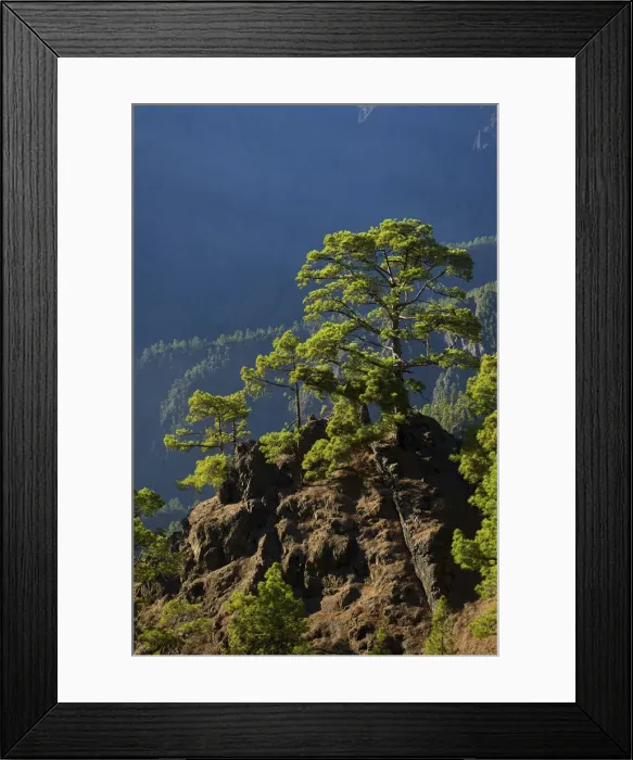 Framed Print : Parque Nacional de la Caldera de Taburiente, Mirador de Las Chozas, La Palma, Canaries Framed Print : Parque Nacional de la Caldera de Taburiente, Mirador de Las Chozas, La Palma, Canaries