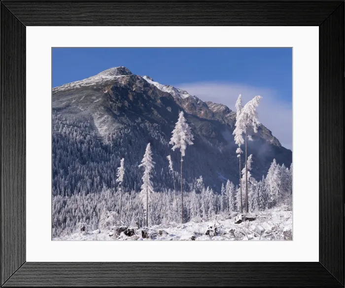 Framed Print : Snow covered trees and mountains in the High Tatras, Slovakia, Europe. Winter Framed Print : Snow covered trees and mountains in the High Tatras, Slovakia, Europe. Winter