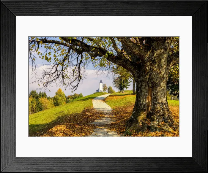 Framed Print : Path Leading to Jamnik Church in Autumn, Slovenia Framed Print : Path Leading to Jamnik Church in Autumn, Slovenia