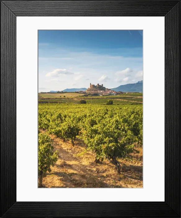 Framed Print : Spain, La Rioja, San Vicente de la Sonsierra. Lush vineyards in summer Framed Print : Spain, La Rioja, San Vicente de la Sonsierra. Lush vineyards in summer