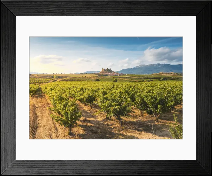 Framed Print : Spain, La Rioja, San Vicente de la Sonsierra. Lush vineyards in summer Framed Print : Spain, La Rioja, San Vicente de la Sonsierra. Lush vineyards in summer