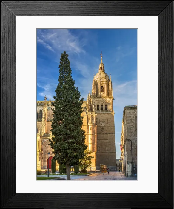 Framed Print : Bell tower, Cathedral, Salamanca, Castile and Leon, Spain Framed Print : Bell tower, Cathedral, Salamanca, Castile and Leon, Spain