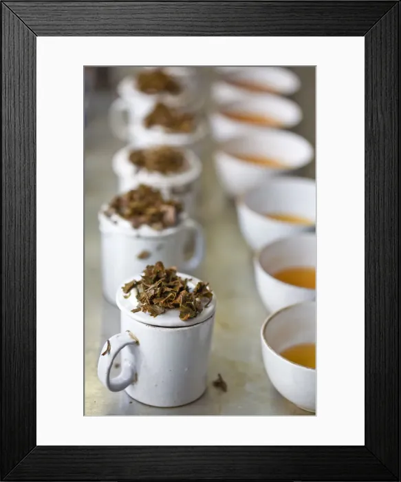 Framed Print : India, West Bengal, Kurseong, Goomtee Tea Estate, Factory, Tea tasting Framed Print : India, West Bengal, Kurseong, Goomtee Tea Estate, Factory, Tea tasting