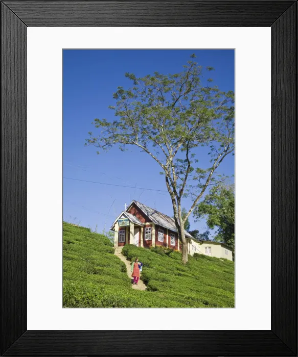 Framed Print : India, West Bengal, Darjeeling, Church on Tukvar Tea Estate