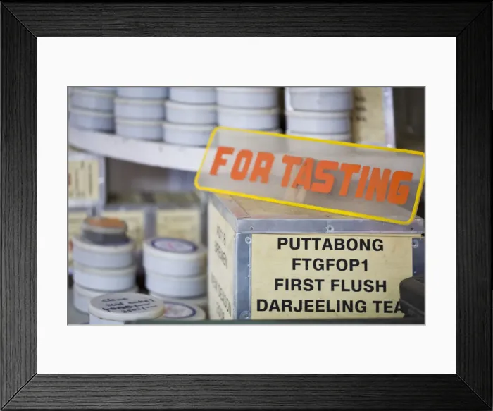 Framed Print : India, West Bengal, Darjeeling, Tukvar Tea Estate, Tea tasting Framed Print : India, West Bengal, Darjeeling, Tukvar Tea Estate, Tea tasting