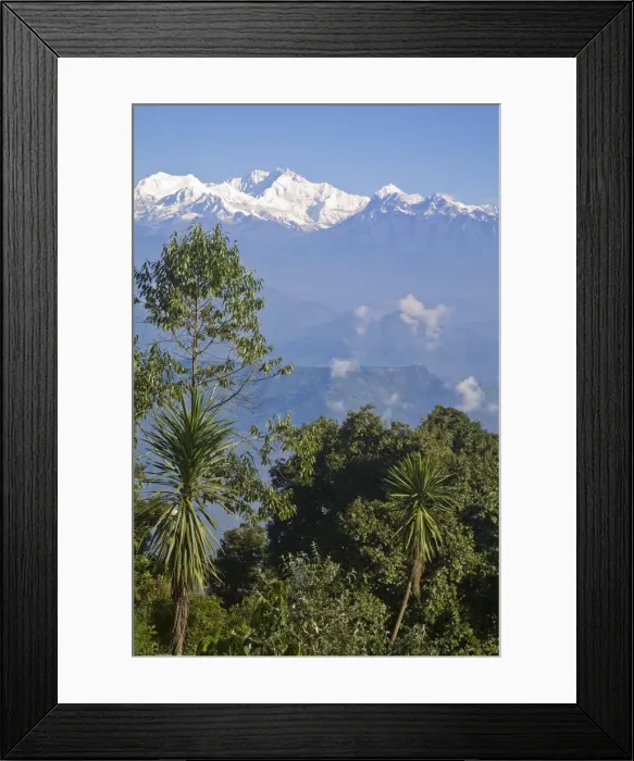 Framed Print : India, West Bengal, Darjeeling, Kanchenjunga from Shrubberry Nightingale Park Framed Print : India, West Bengal, Darjeeling, Kanchenjunga from Shrubberry Nightingale Park