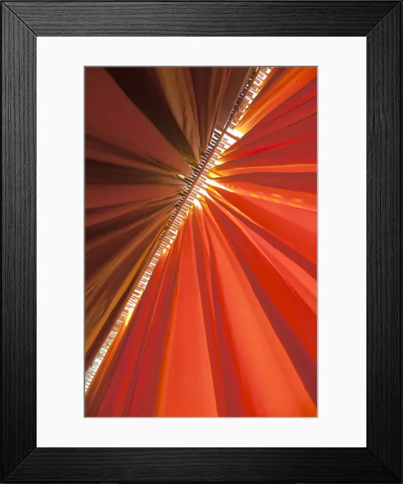 Framed Print : Newly dyed fabric hanging from Bamboo poles to dry, Sari garment factory, Rajasthan Framed Print : Newly dyed fabric hanging from Bamboo poles to dry, Sari garment factory, Rajasthan