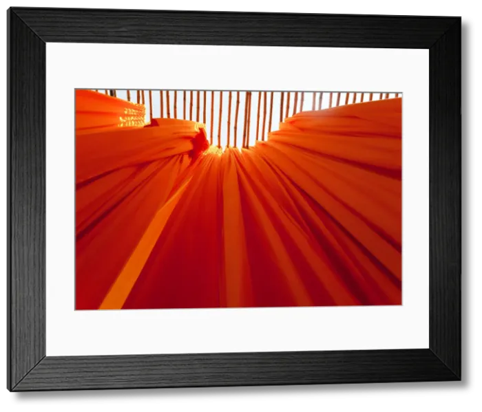 Framed Print : Newly dyed fabric hanging from Bamboo poles to dry, Sari garment factory, Rajasthan Framed Print : Newly dyed fabric hanging from Bamboo poles to dry, Sari garment factory, Rajasthan