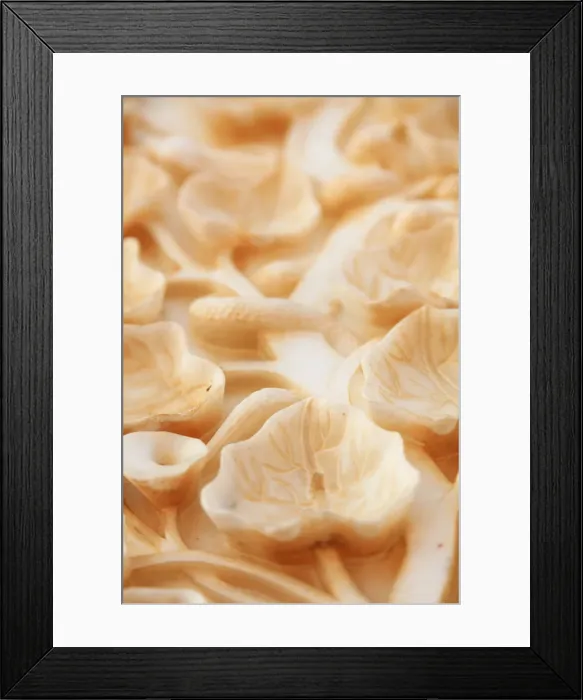 Framed Print : India, Rajasthan, Deshnok, Karni Mata Temple (Rat Temple), Marble Carvings Framed Print : India, Rajasthan, Deshnok, Karni Mata Temple (Rat Temple), Marble Carvings