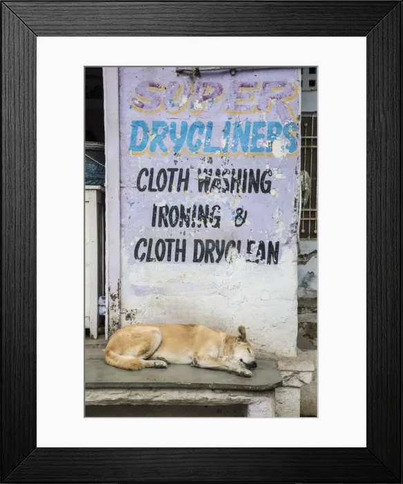 Framed Print : Sleeping dog in the old town of Udaipur, Rajasthan, India Framed Print : Sleeping dog in the old town of Udaipur, Rajasthan, India