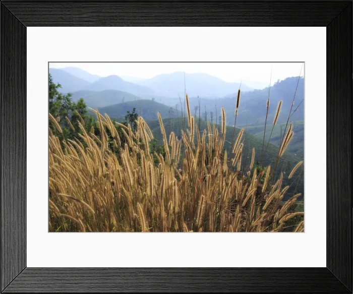 Framed Print : Peryar, Kerala, India