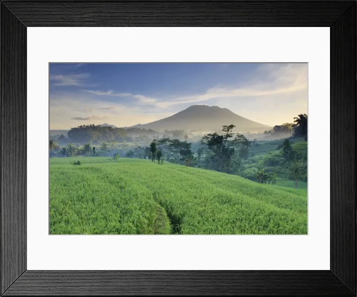 Framed Print : Indonesia, Bali, Sidemen Valley, Iseh, Rice Fields and Gunung Agung Volcano Framed Print : Indonesia, Bali, Sidemen Valley, Iseh, Rice Fields and Gunung Agung Volcano