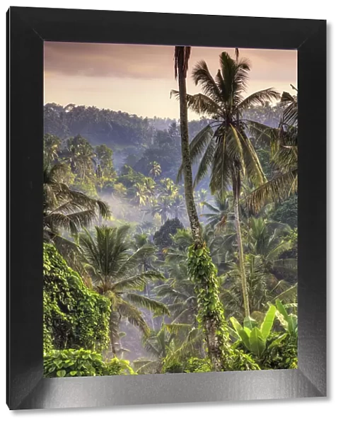 Indonesia, Bali, Ubud, Landscape around the Campuhan Ridge Walk