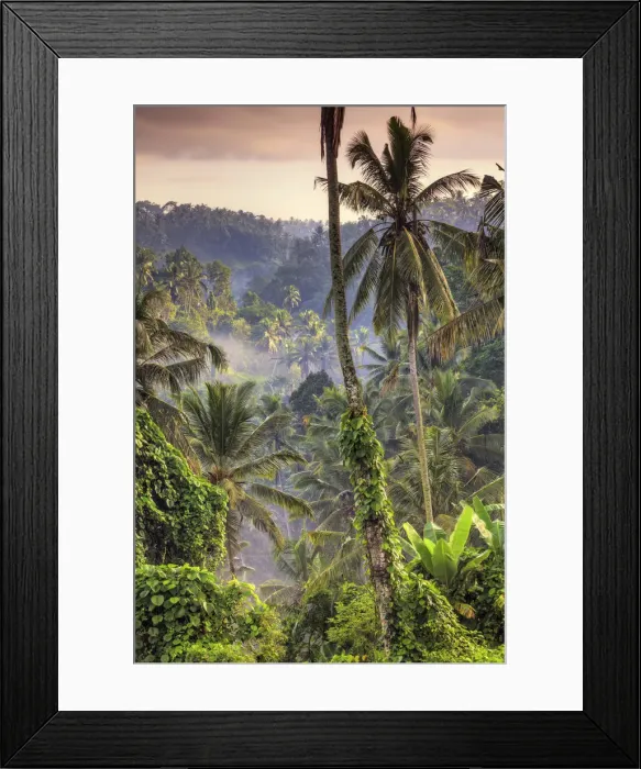 Framed Print : Indonesia, Bali, Ubud, Landscape around the Campuhan Ridge Walk Framed Print : Indonesia, Bali, Ubud, Landscape around the Campuhan Ridge Walk