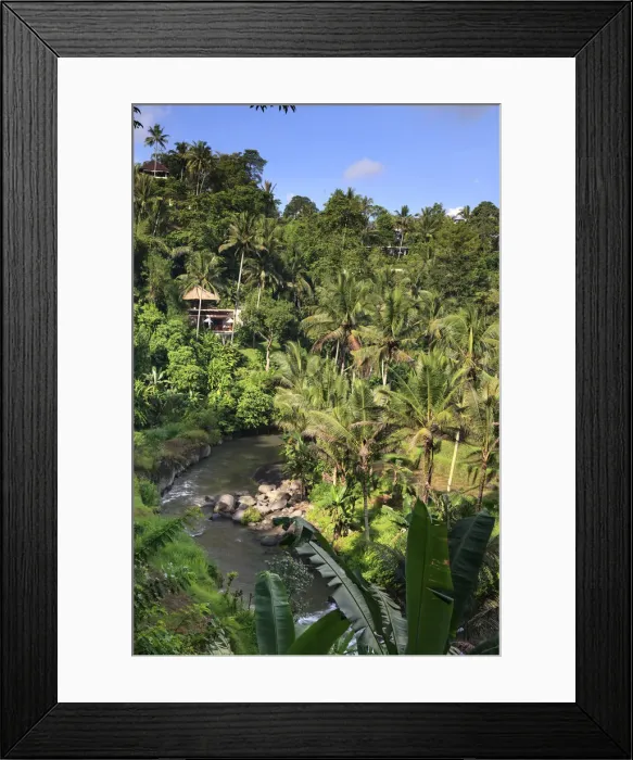 Framed Print : Indonesia, Bali, Ubud, Sayan Valley and Ayung River Framed Print : Indonesia, Bali, Ubud, Sayan Valley and Ayung River