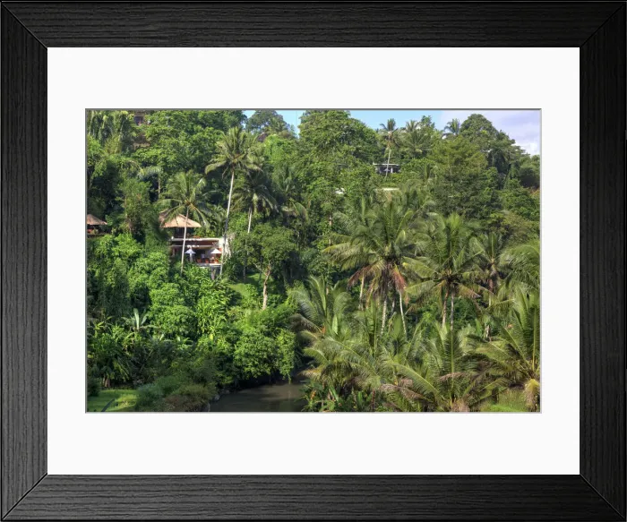 Framed Print : Indonesia, Bali, Ubud, Sayan Valley and Ayung River Framed Print : Indonesia, Bali, Ubud, Sayan Valley and Ayung River